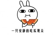 在线吃瓜是什么意思,揭秘“在线吃瓜”现象背后的文化内涵